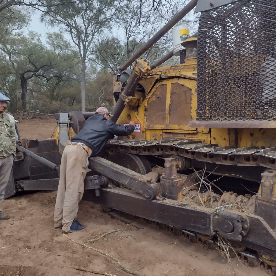 Dirección de Bosques tweet media