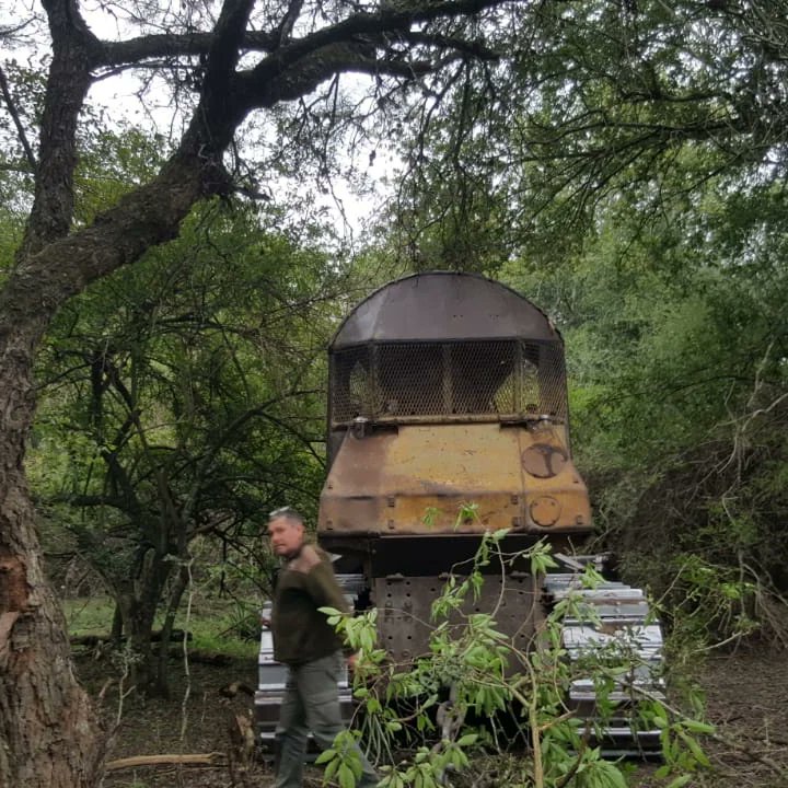 Dirección de Bosques tweet media