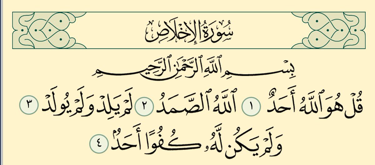 لولي.. tweet media