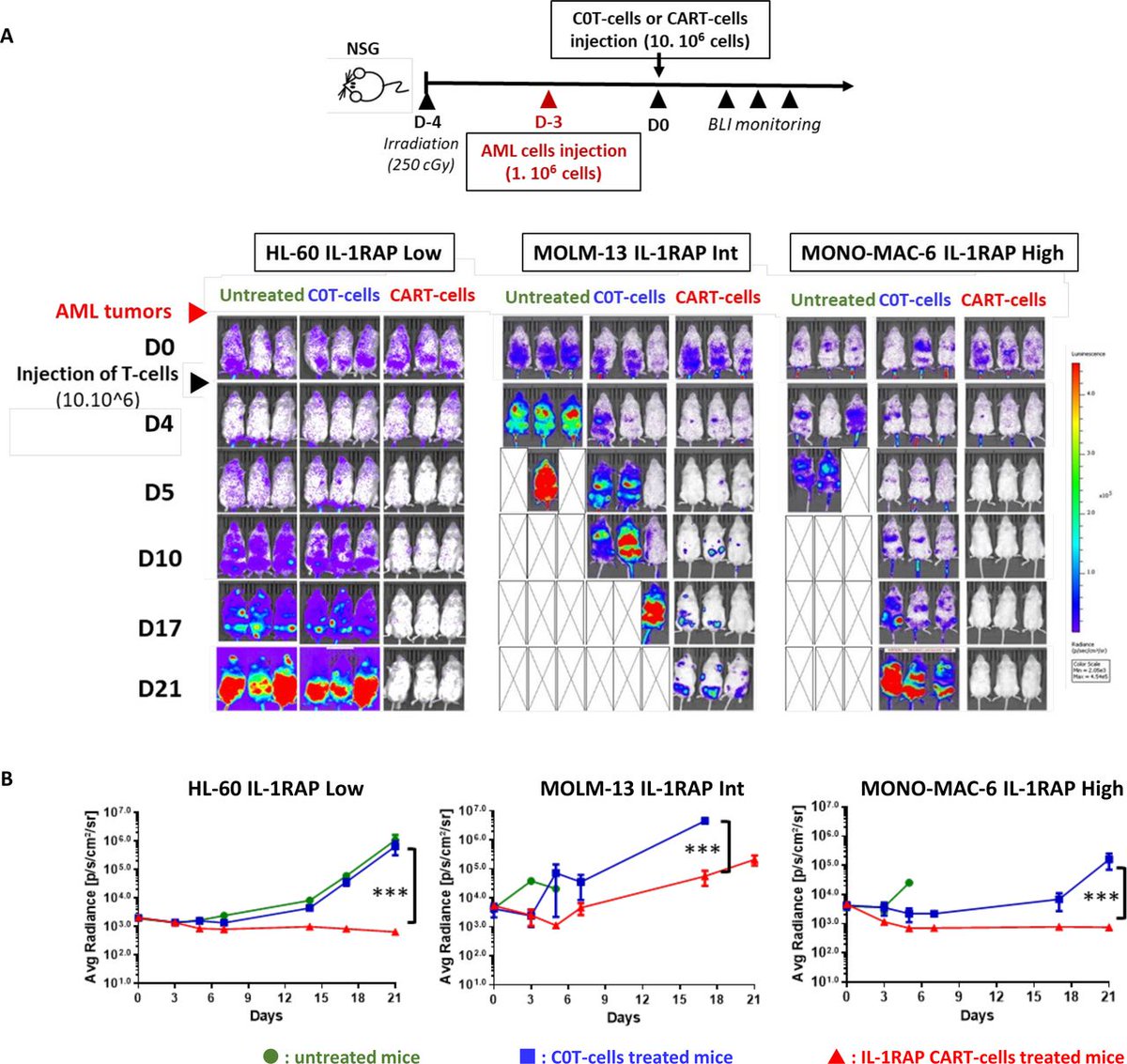 jitcancer's tweet photo. New #JITC article: Chimeric antigen receptor T-cells targeting IL-1RAP: a promising new cellular immunotherapy to treat acute myeloid leukemia https://t.co/6eHriDy6fX @Christ3939 https://t.co/khicyUaVS9