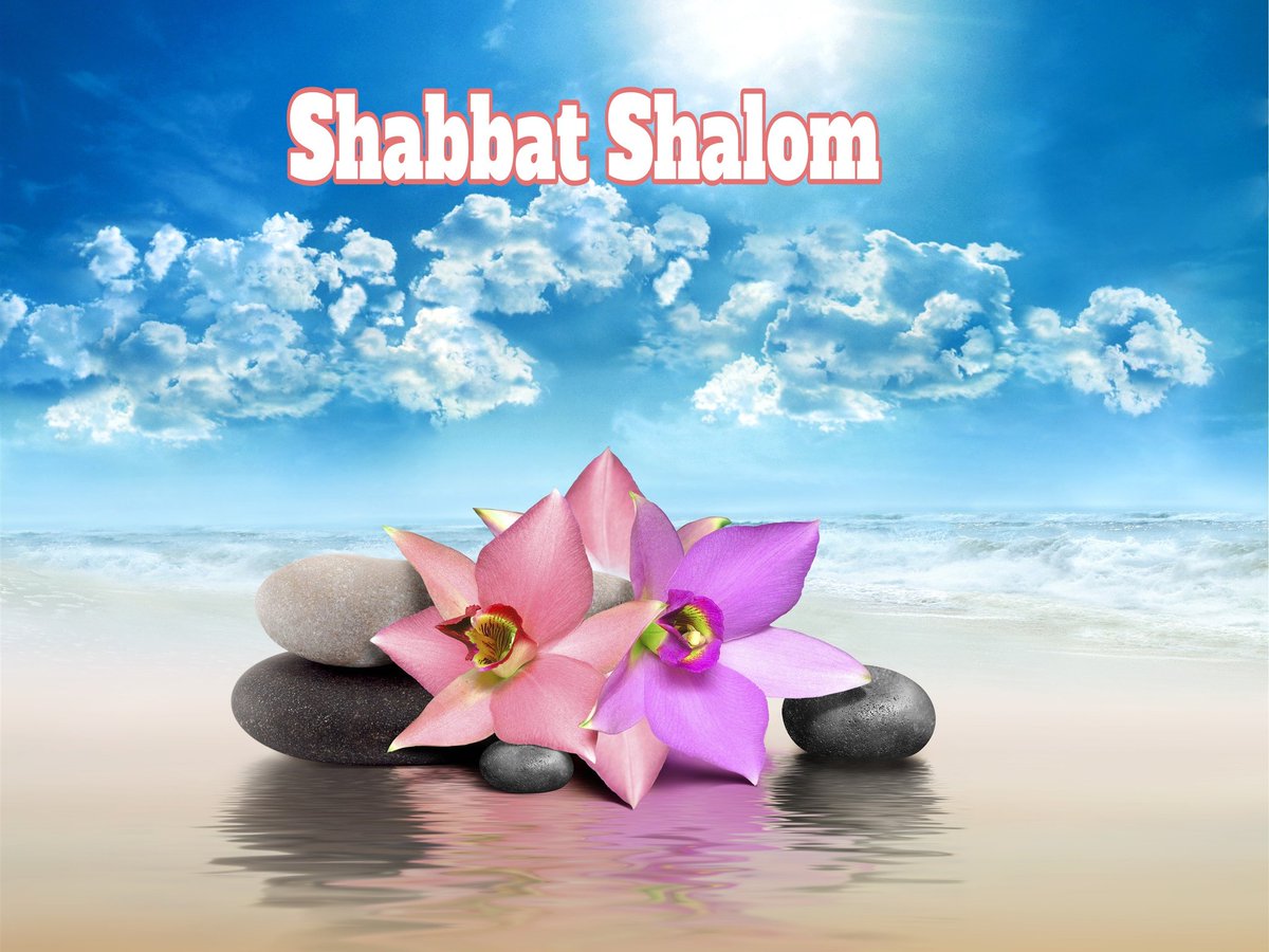 🆂🅸🅻 סיל 🕎🇮🇱✡🟦🎗 tweet media