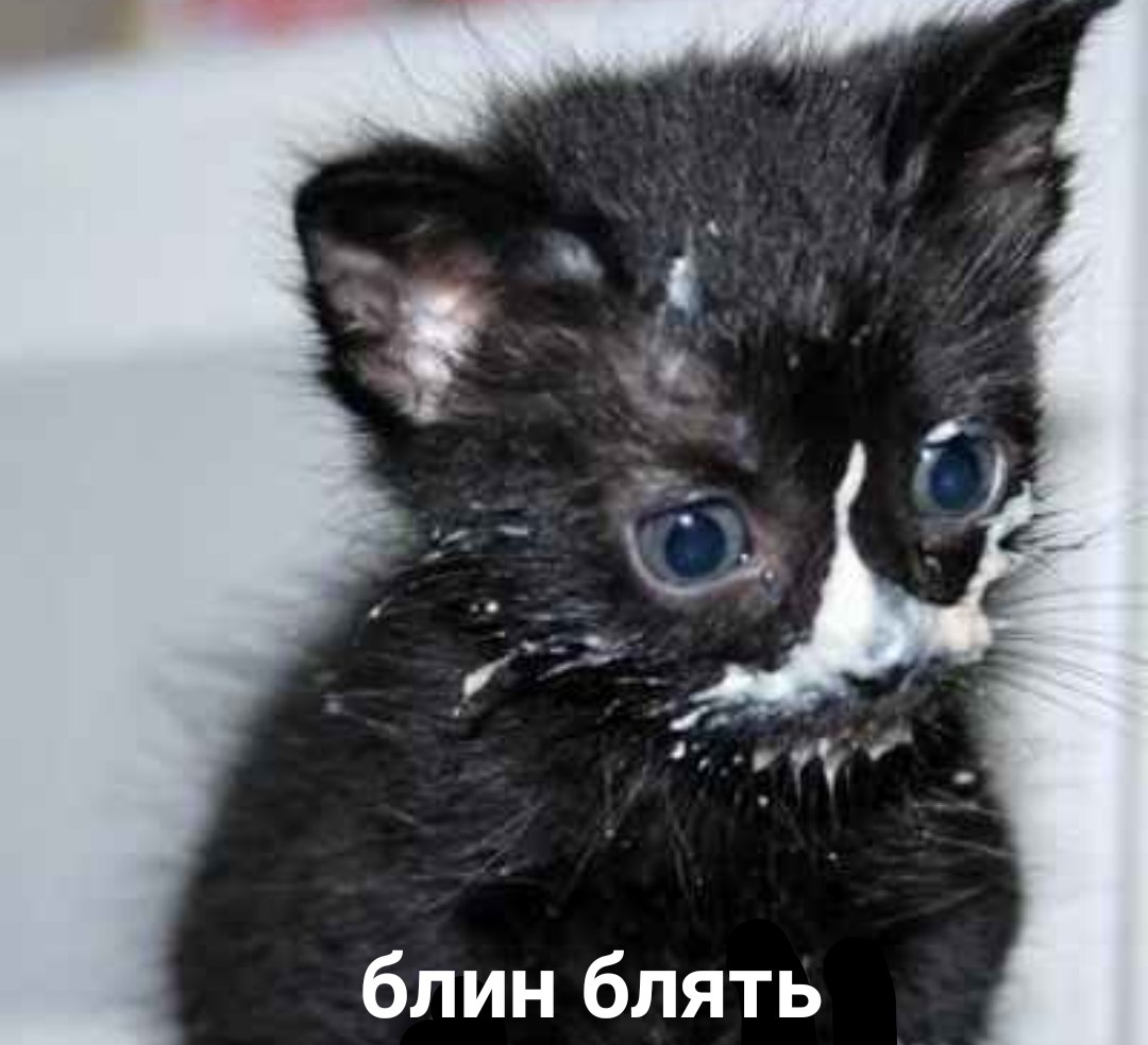 Пятница 13 поздравления