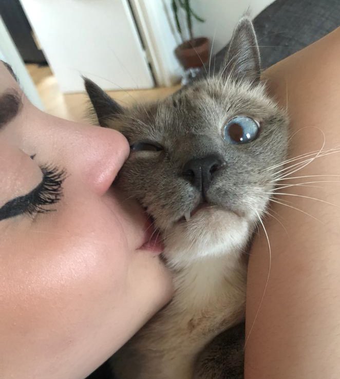 tavujesus's tweet image. L’amour à sens unique