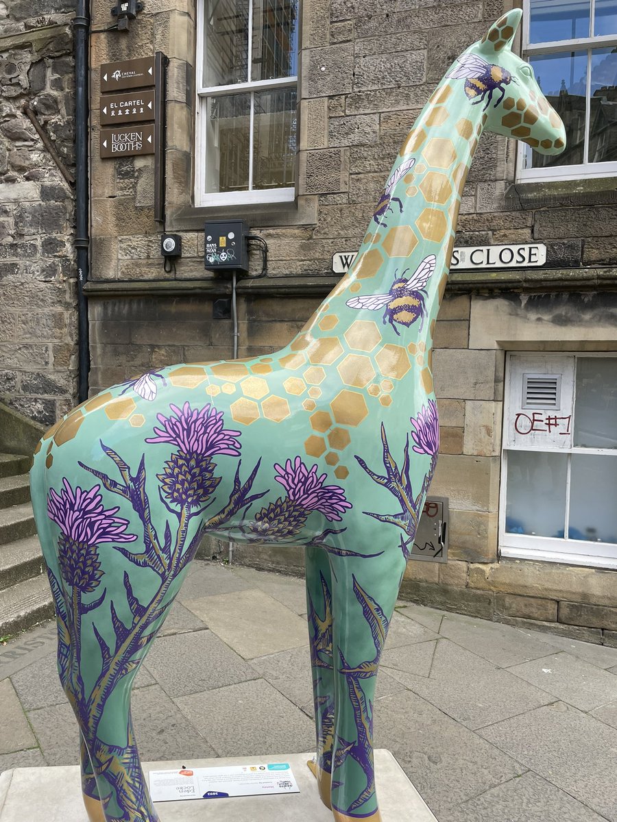 You can brush up on your map work skills  in Edinburgh by going giraffe spotting! Even found a bee themed one 🐝😊 #GiraffeAboutTown  For more information on how to take part (maps available from tourist info on the Royal mile or install the app): giraffeabouttown.org.uk/double-deco-gi…
