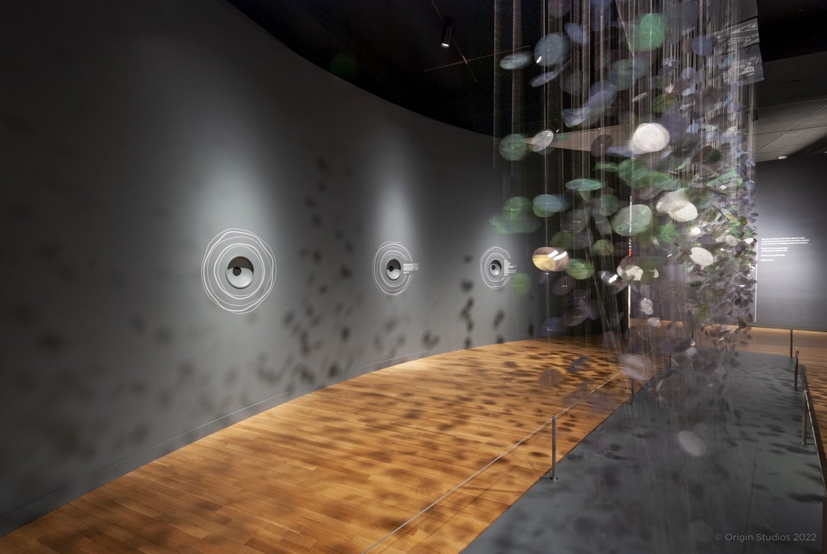 RLMG (Richard Lewis Media Group) tweet media