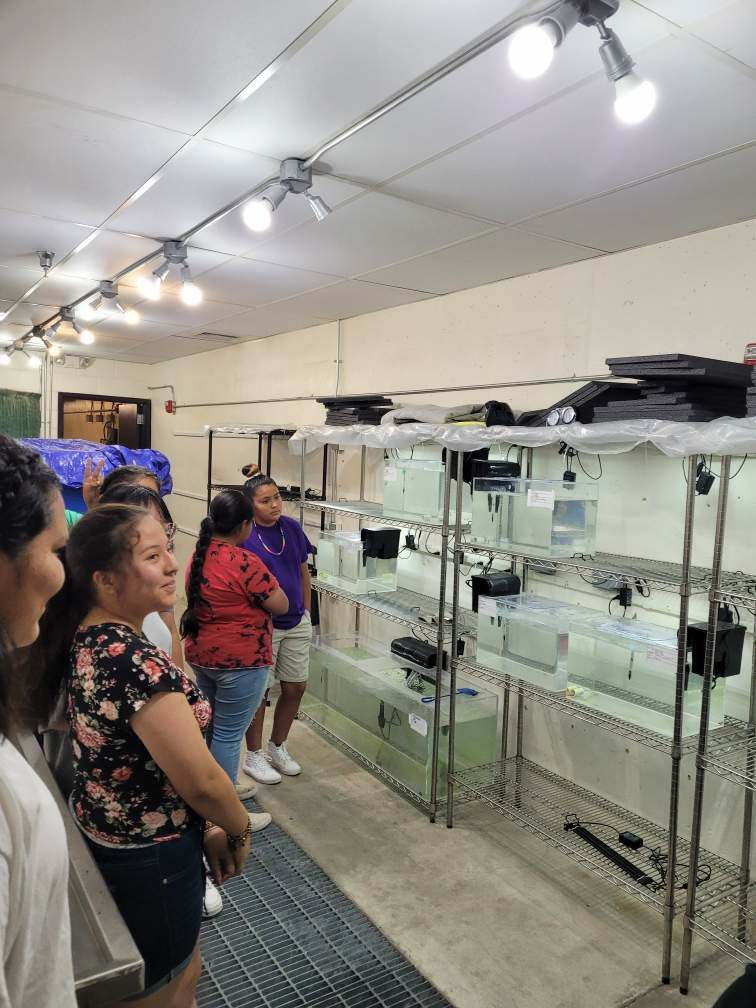 steroiddr's tweet photo. My new grad students Anthony Hinders and @kenz_reed0530 led science outreach to 3 groups of American Indian Scholars completely on their own! Hope these 7-8th graders think gobies are cool and decide to do an internship in my lab! #PathwaystoSTEM @ShoBanTribes @IdahoStateUCoSE https://t.co/RnTHjdl36w