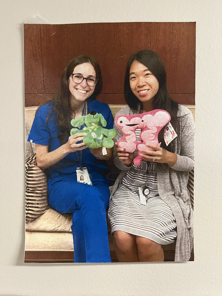 cabanam's tweet photo. Welcome to our 2 new #PedsGI fellows, Dr Joseph Chapman &amp; Dr Deena Miller Marzel. Their pictures now join our collection on Wayne 7 at the Children’s Hospital at Montefiore (#CHAM). @MontefiorePeds @EinsteinMed @BGoilav @DrFerdowsi @SuzettePediMD @NASPGHAN @EPeritoMD @BarashLily https://t.co/iFWKuMlMfw