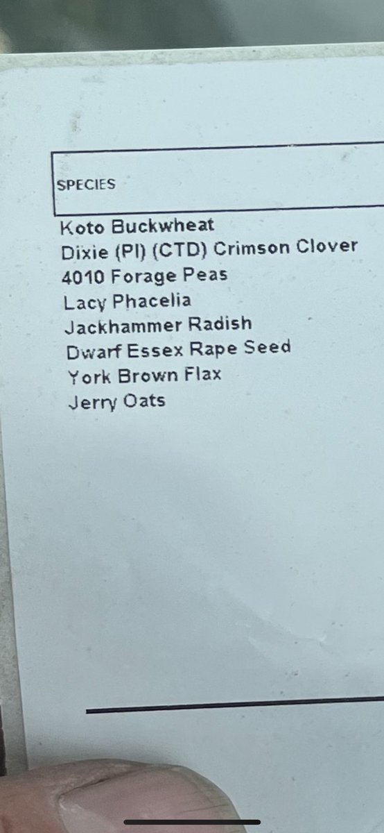 TZimmermanfarms's tweet image. Inter-seeding a mix into the sunflowers. #covercrops #SoilHealth #interseeding