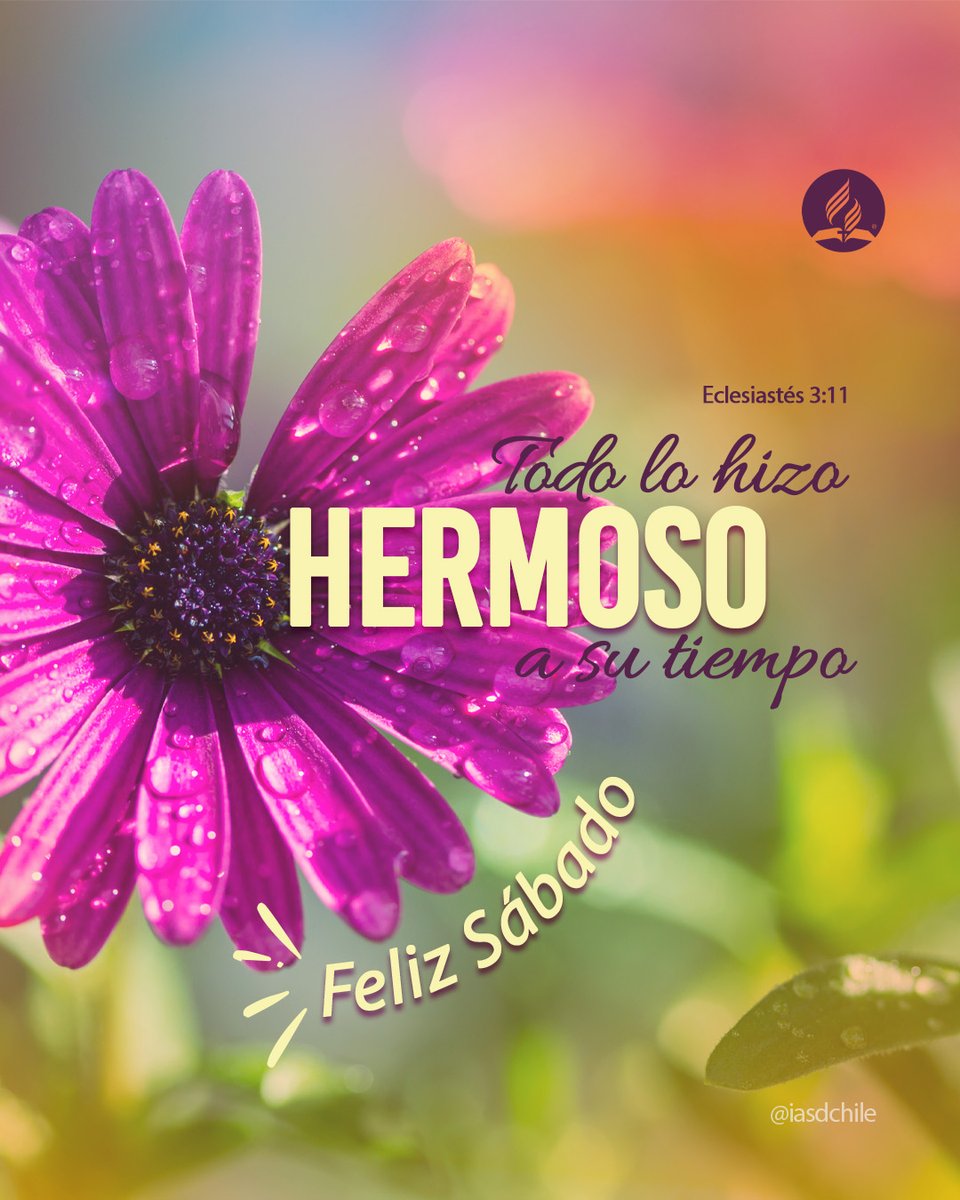 𝙏𝙤𝙙𝙖 𝙊𝘽𝙍𝘼 𝙙𝙚 𝘿𝙄𝙊𝙎 𝙚𝙨 𝙋𝙀𝙍𝙁𝙀𝘾𝙏𝘼 y el Sábado es parte de su plan.
"Todo lo hizo hermoso en su tiempo y ha puesto eternidad en el corazón de ellos, sin que alcance el hombre a entender la obra que ha hecho Dios desde el principio hasta el fin."  #felizsábado