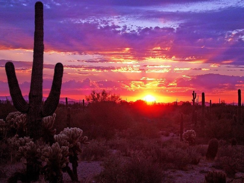 The Trust is on the search for our next great executive director in amazing Tucson, Arizona!

For details, please go to alwt.org/about/ (bottom of webpage) or email Cory King with our search firm, Kittleman &amp; Associates:  cking@kittlemansearch.com

#nonprofitleader