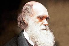'to suppose that the eye could have been evolved by natural selection, seems, I freely confess, absurd in the highest possible degree' Charles Darwin 1872