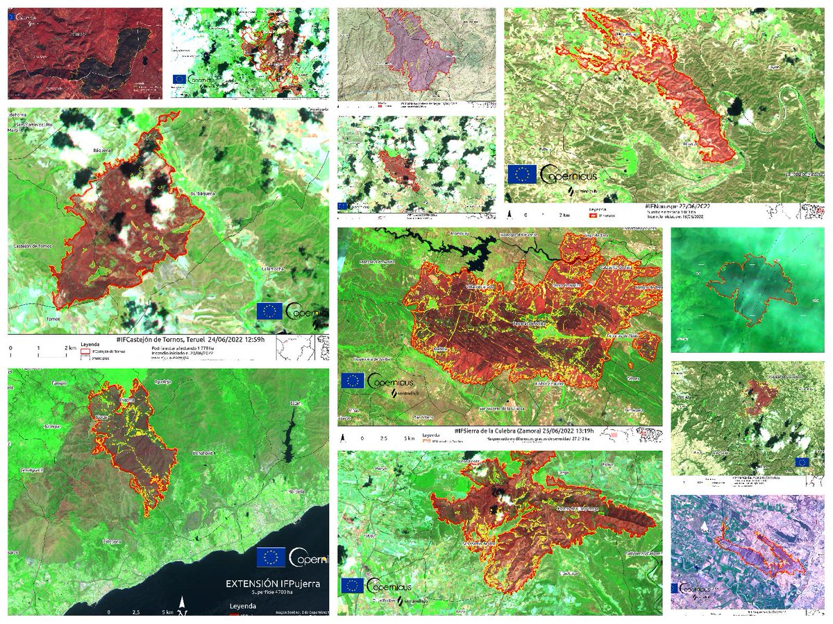 eforestal's tweet photo. 🔥Estos son los 12 Grandes Incendios Forestales que han producido en 🇪🇸 España en 2022
#IFHermisende
#IFLubián
#IFSierraBermeja
#IFBaldomar
#IFSierradelaCulebra
#IFNonaspe
#IFToledo
#IFNavarra
#IFArguedas
#IFUjué
#IFCastejóndeTornos
#IFVentadelMoro

ℹ️🔗https://t.co/tafWAqCED4 https://t.co/Oe2u1zX4ef