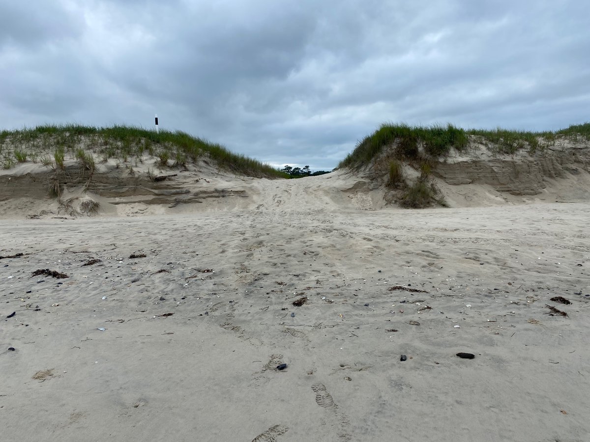 Know your vehicle’s limits before entering North OSV. Be prepared for soft sand when exiting