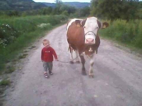 MojaSelo's tweet photo. Žalosno je što će ovaj dečak dobiti manje lajkova nego neka gologuza pevačica 🙁 https://t.co/2BK2nsIX3i