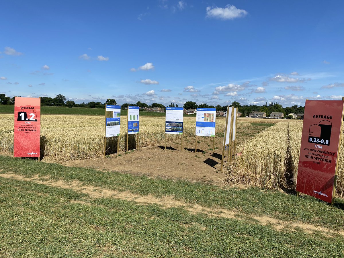 TJex_RegenAg's tweet photo. Thanks to @SyngentaCropsUK @Syngenta for an interesting day running though the #Adepidyn molecule. Some impressive levels of Ramularia control on display 👀 https://t.co/WZwVt9s4ph