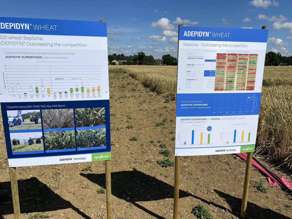 TJex_RegenAg's tweet photo. Thanks to @SyngentaCropsUK @Syngenta for an interesting day running though the #Adepidyn molecule. Some impressive levels of Ramularia control on display 👀 https://t.co/WZwVt9s4ph