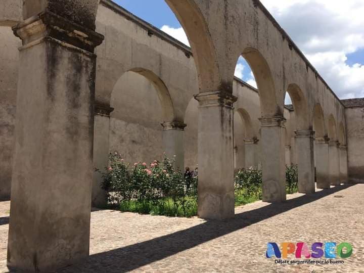 TurismoApaseo tweet media