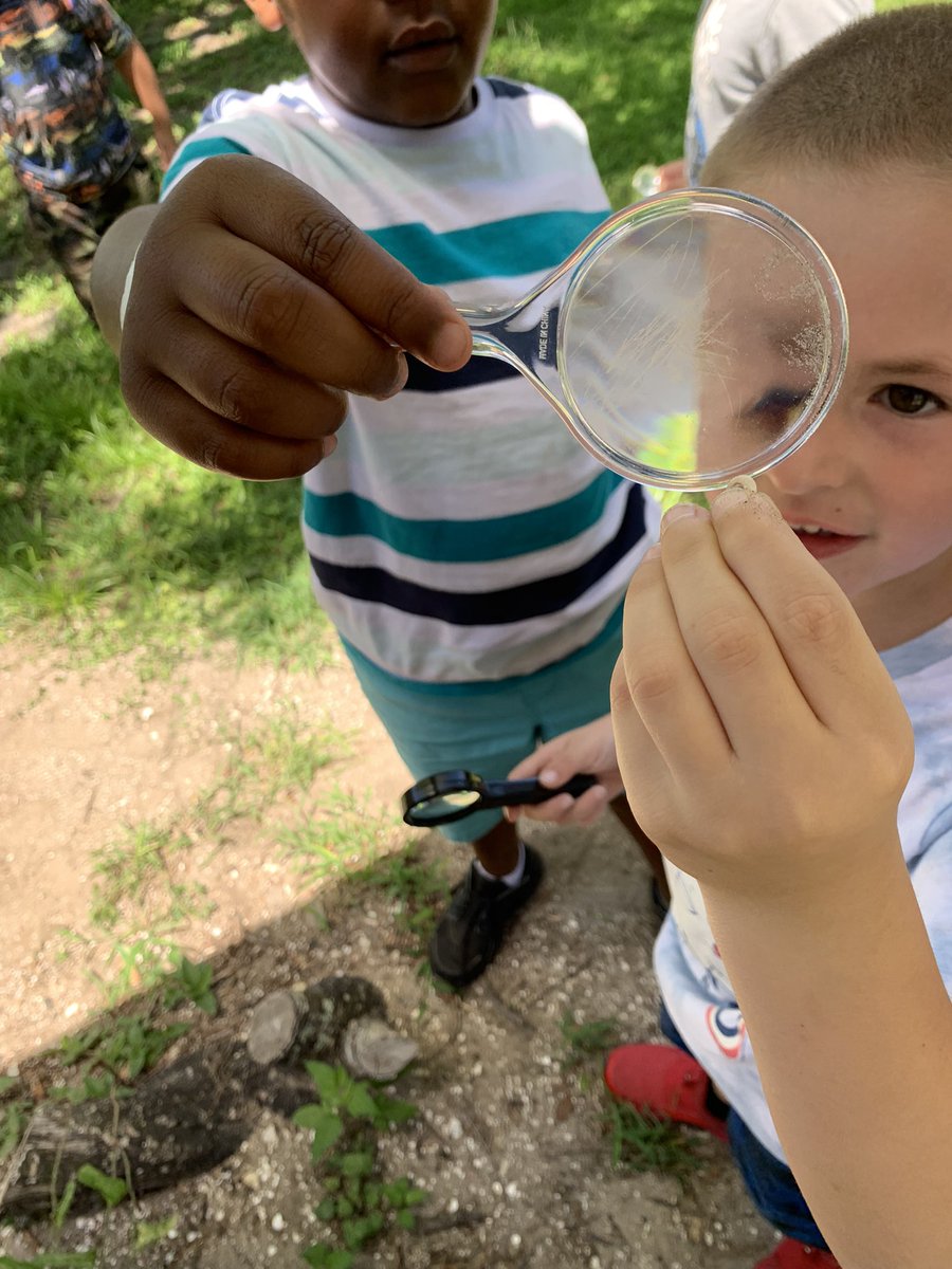 rofado81's tweet photo. Ms. Steven’s students searching and discovering nature.  #vcssummer2022
#vcscsi2022 https://t.co/Gn6M3j8rAu