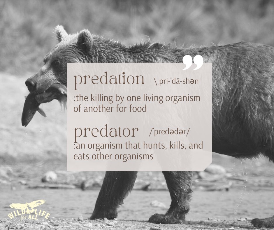 Even though these words are neutral, we have loaded them with emotion disproportionate to the definition. The language around wildlife management takes advantage of these emotional links to words.