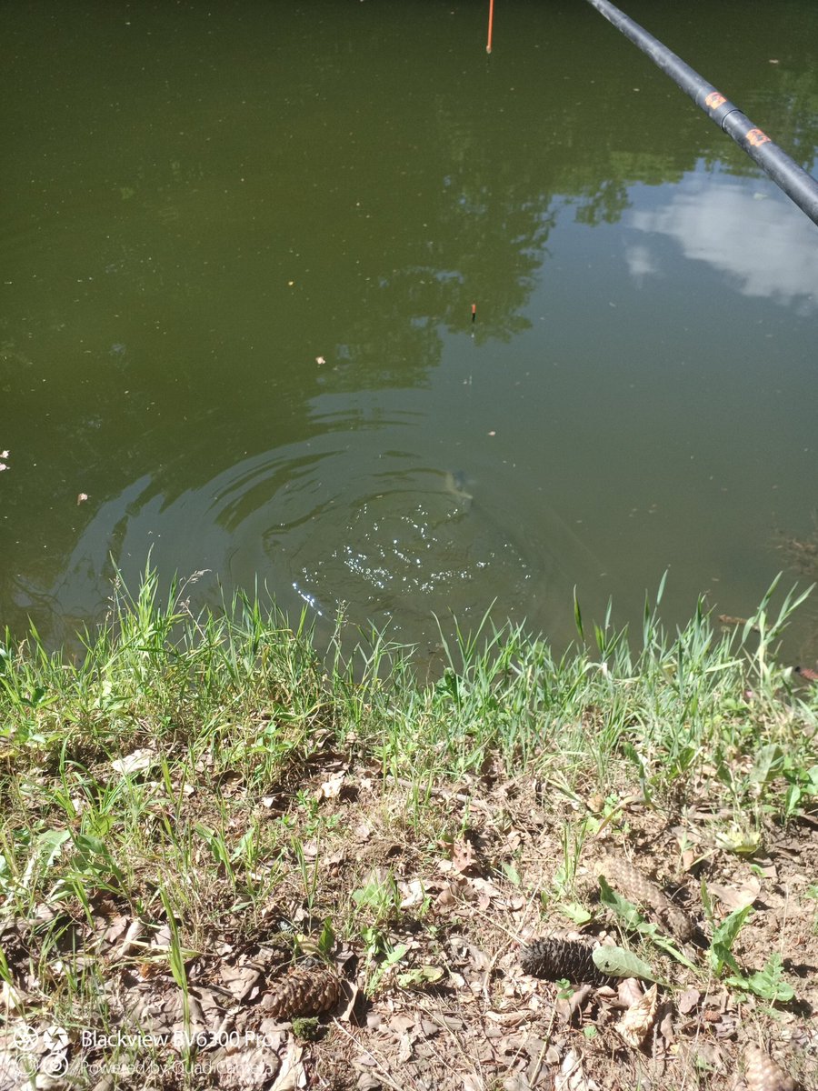 eLDayDay tweet media