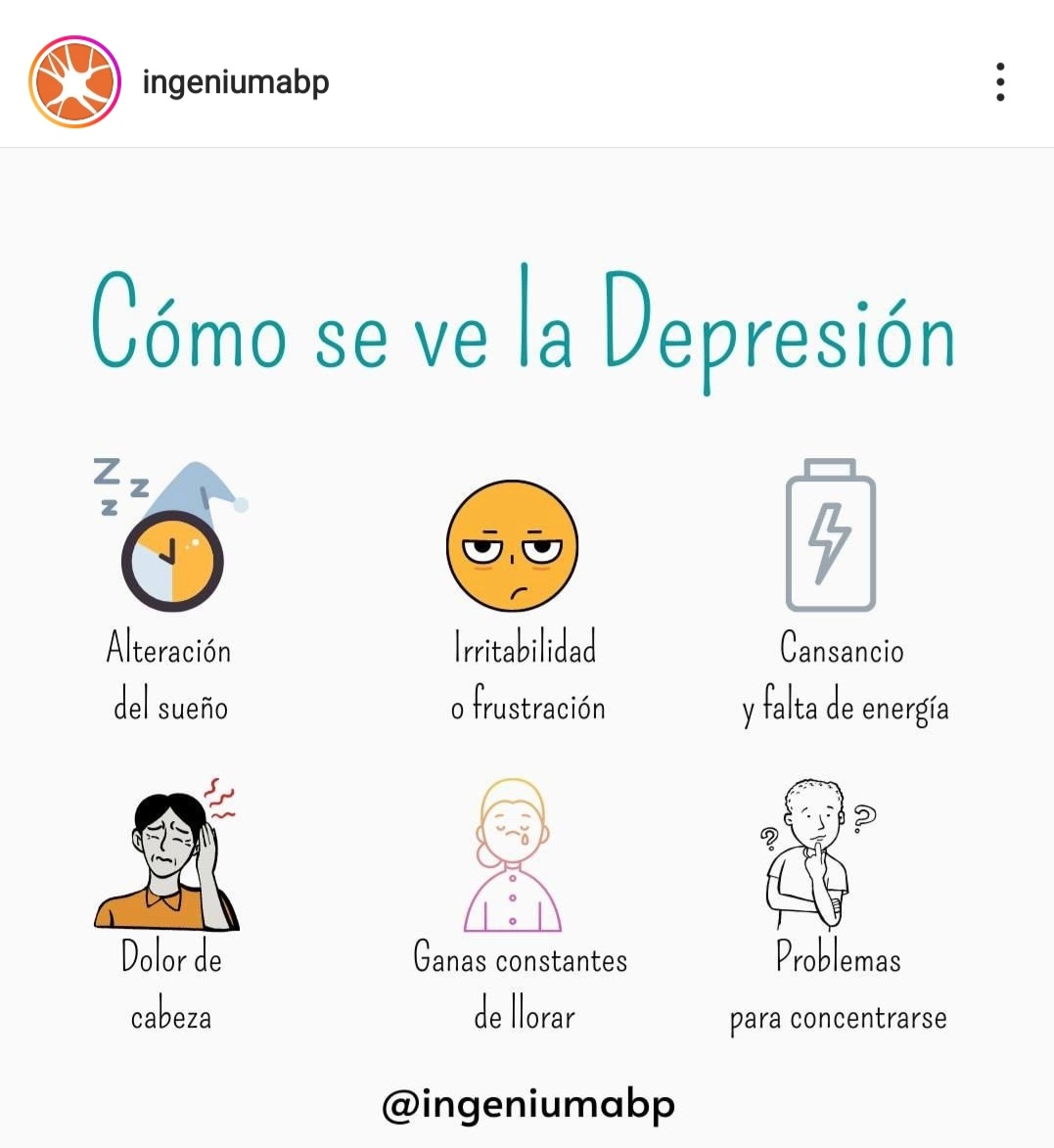 Dr. Carlos Arnaud tweet media