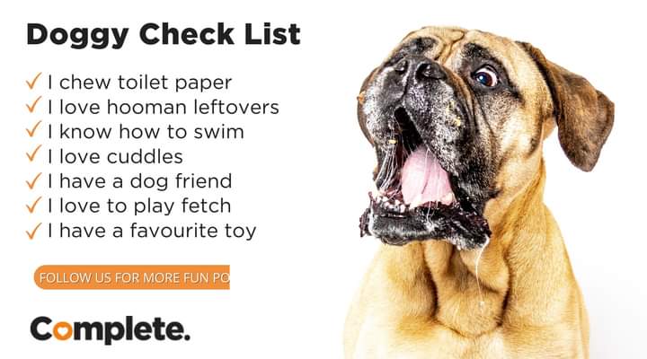 CompletePetfood's tweet photo. How many can your dog check off? πβοΈ
#dogchecklist #dogfun #dogfamily #dogslife #completepet #doggosbeingdoggos #doglaughs #funnydogs https://t.co/3NuTssqbmS
