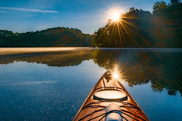 Check out our latest newsletter  - mailchi.mp/c16eba1f1388/t…