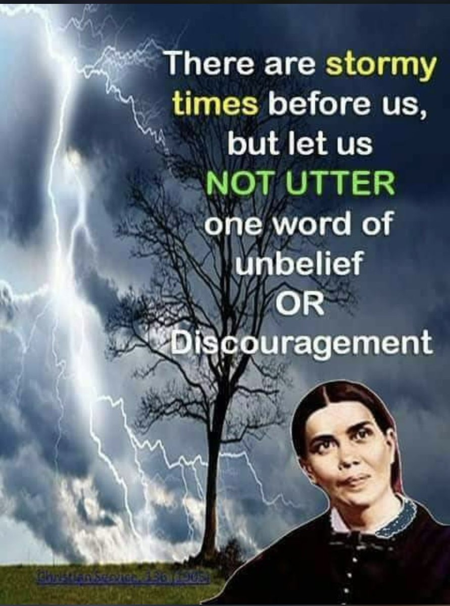 Rach G-M 🇿🇼🇬🇧 tweet media