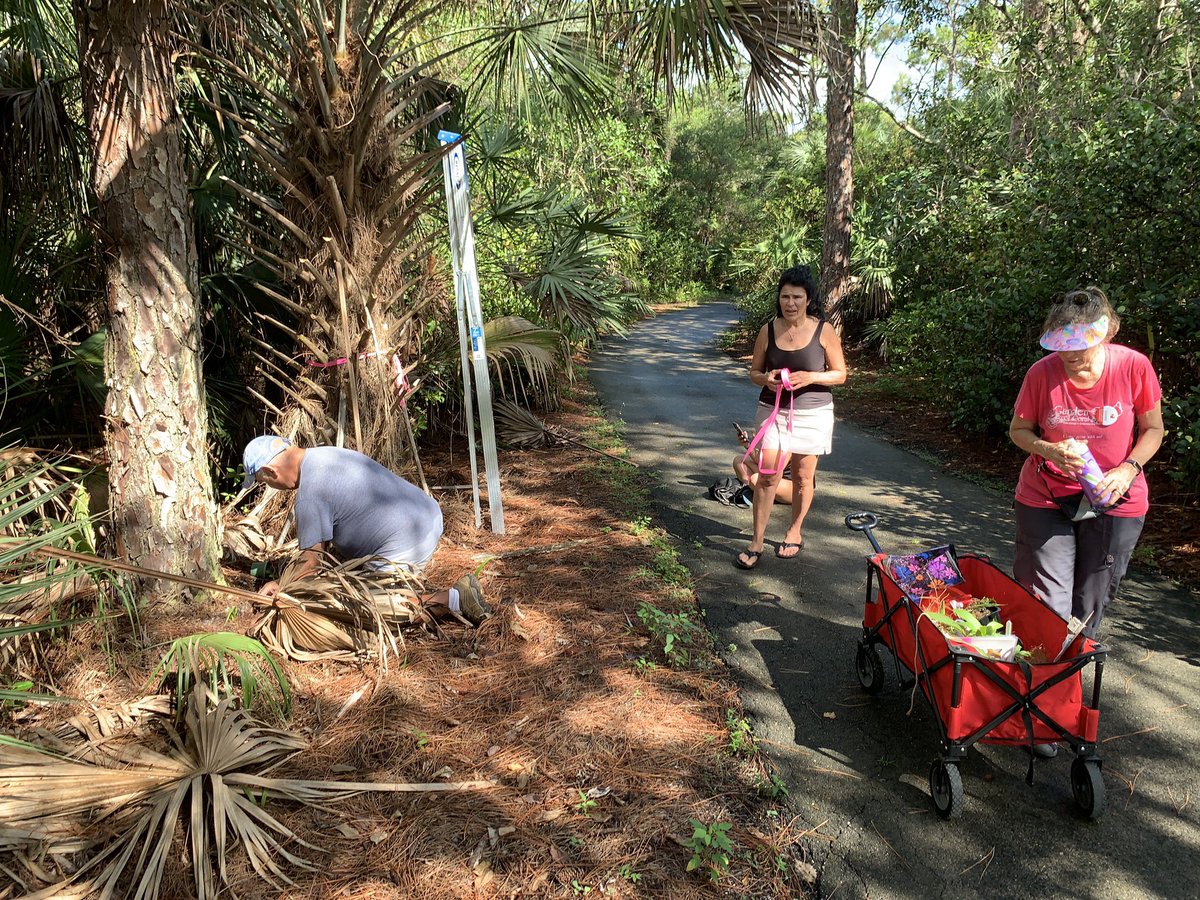 BrowNatOrchids's tweet image. Many Florida Master Gardener Volunteers came to help Garden Club of Coral Springs install native orchids at Sandy Ridge Sanctuary. Showers blew through to cool us all off 😀  @HortUrban