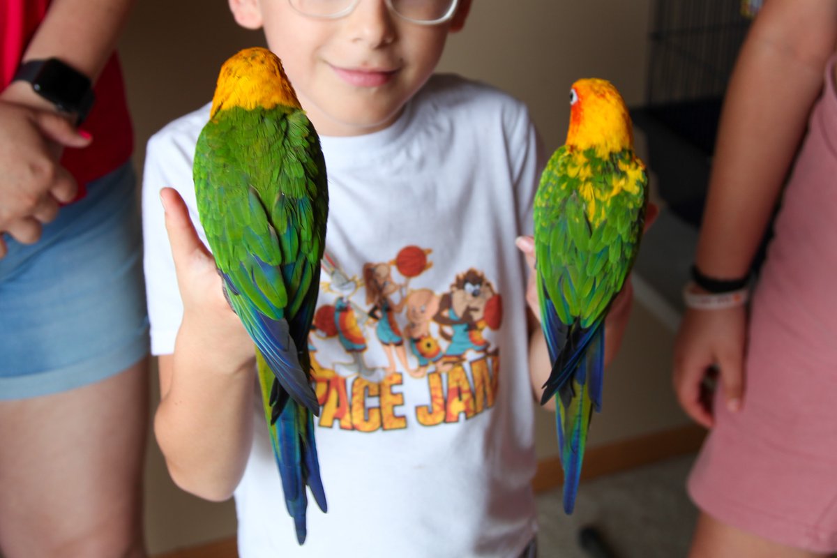 Bridget Fogarty tweet media