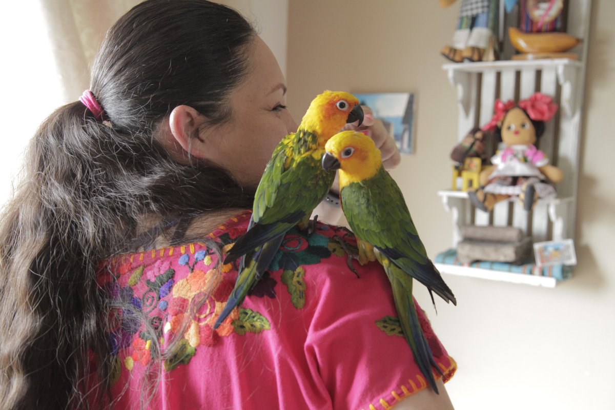 Bridget Fogarty tweet media