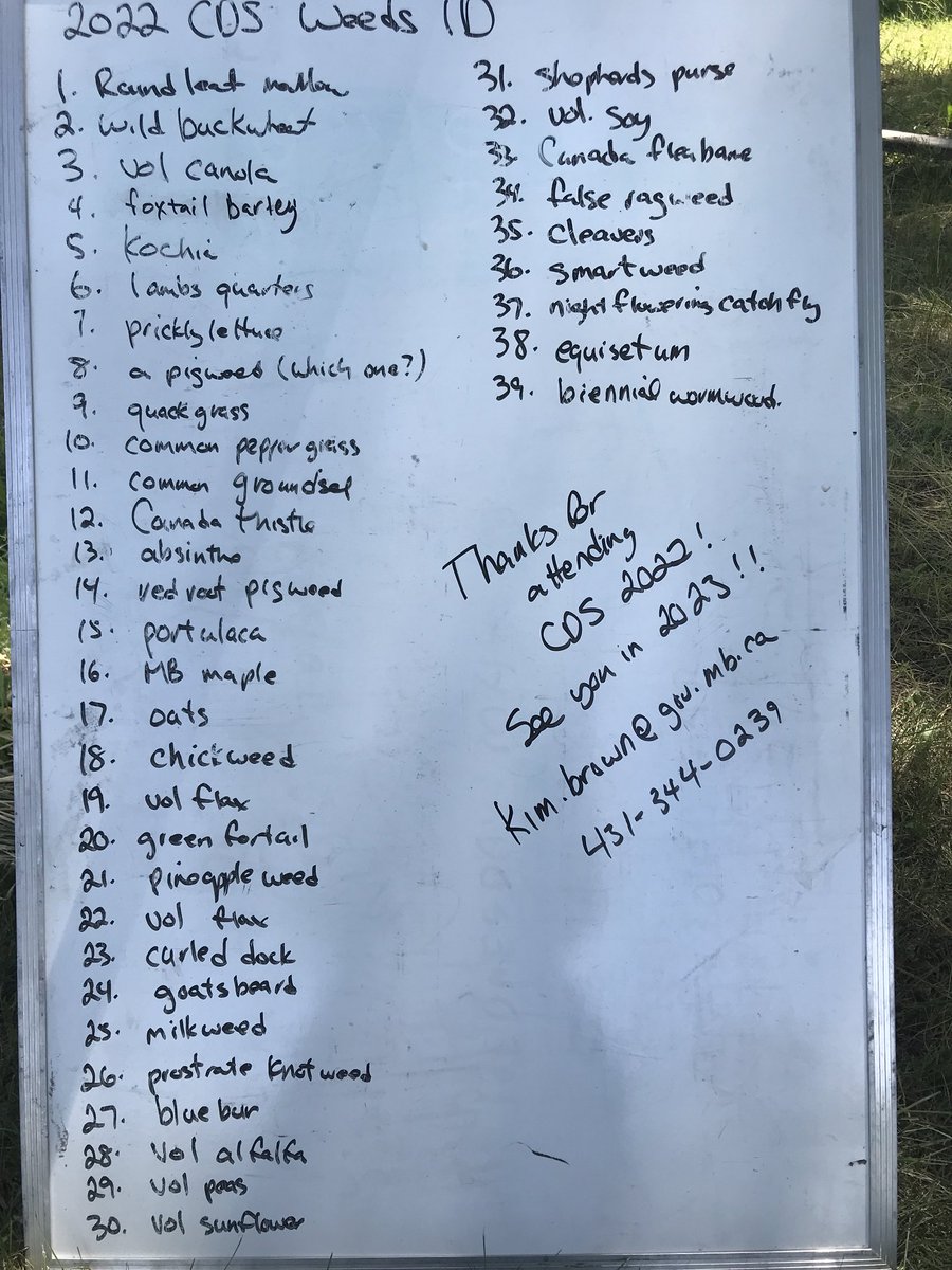 Kim Brown-Livingston tweet media