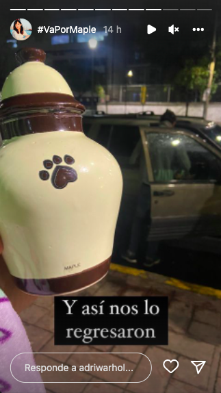Maple, un perrito muy querido, “desapareció” o presuntamente murió en condiciones muy sospechosas y extrañas. 😔😡

 Abrimos hilo  🧵 

#VaPorMaple, #JusticiaParaMaple y #DóndeEstáMaple