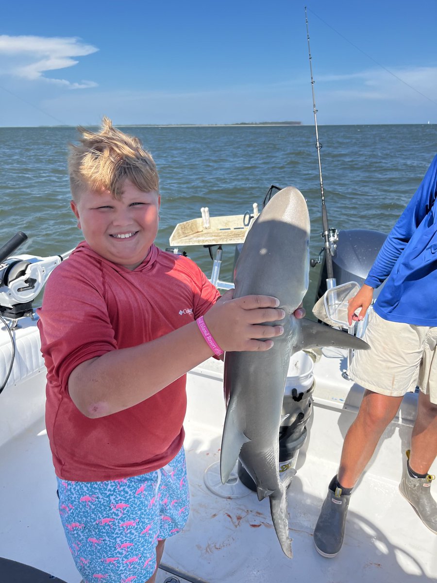 A big week of reeling for Tanner! 🎣🦈👏🏽 #sharkfishing #HHI