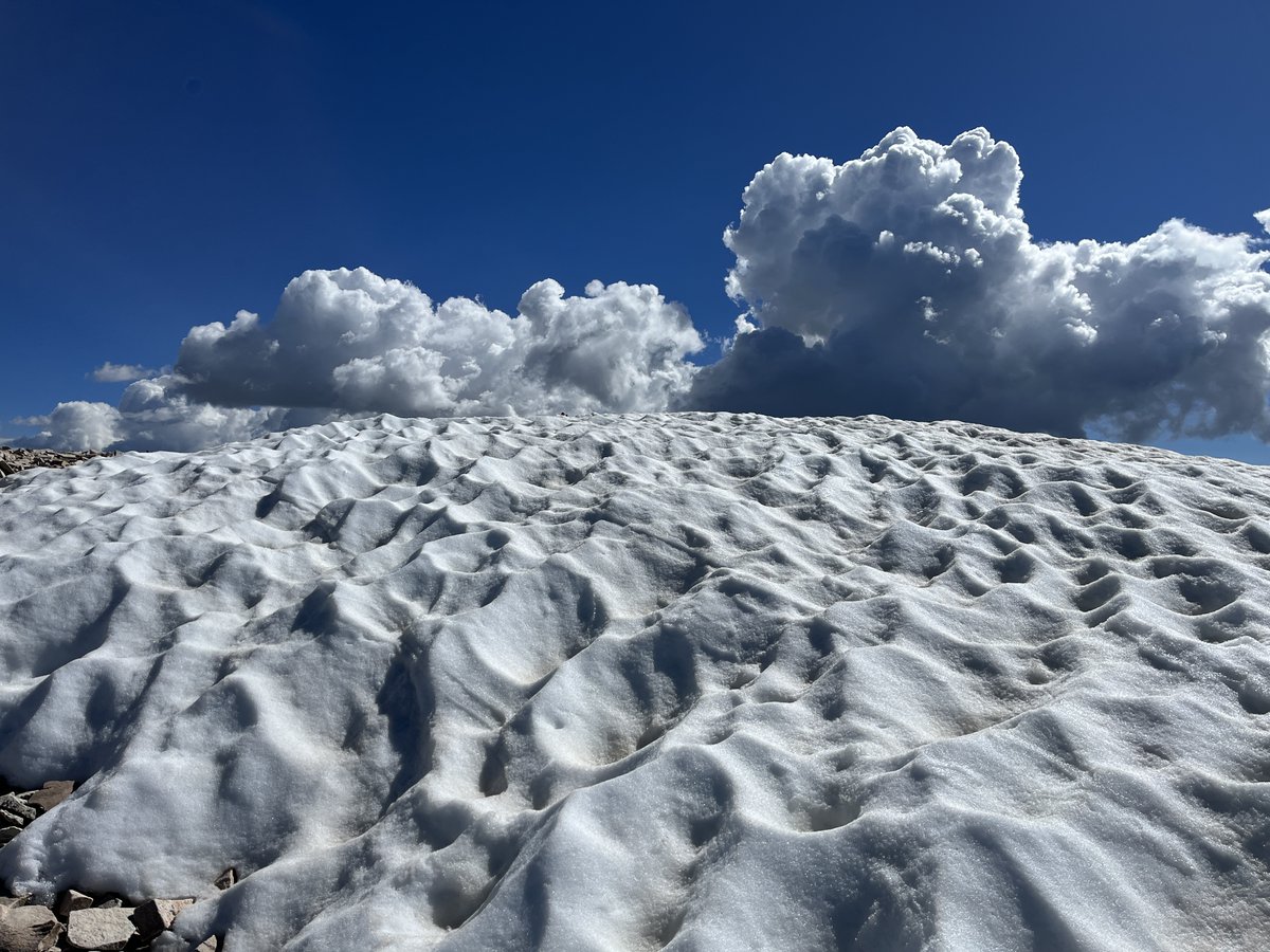 Mark Lemmert tweet media