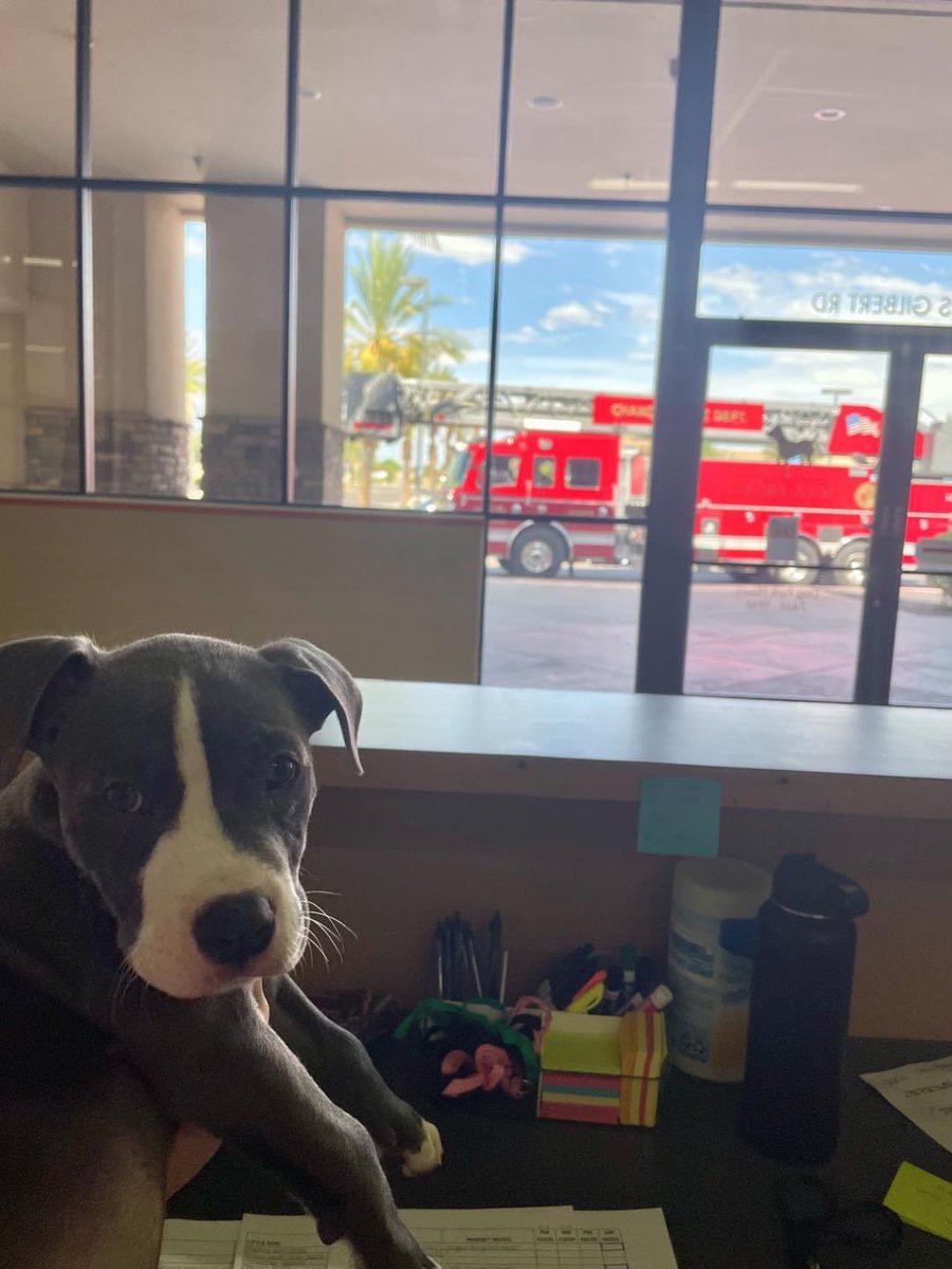 Chief Tom Dwiggins tweet media