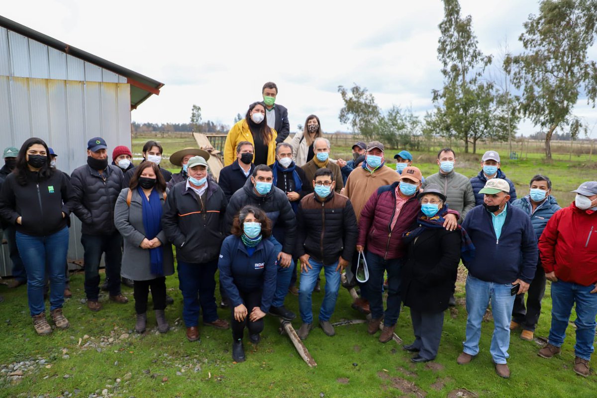 MinagriCL's tweet photo. Durante su gira por la Región del Maule, el ministro @tvalenzuelavt junto a la seremi de @MinagriMaule @anaxmaule, @INDAP_Chile y @Agroseguroscl entregaron indemnizaciones de seguros agrícolas como parte del plan #SiembraPorChile 🌱 a agricultoras y agricultores arroceros 👩🏻‍🌾👨🏻‍🌾 https://t.co/q6O3xMoI6V