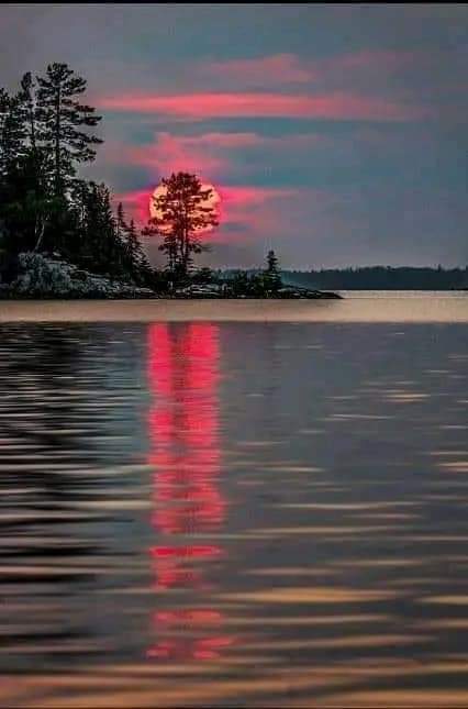 zhao (@zhao42692178) on Twitter photo 