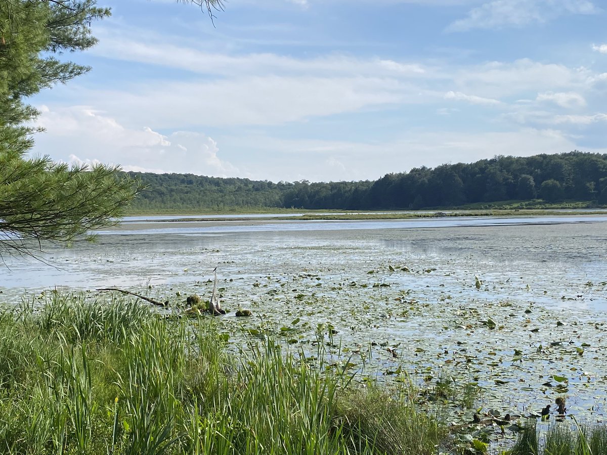 Conductor222's tweet image. Enjoyed my #minication #PA #dayoff #statepark #pennsylvania