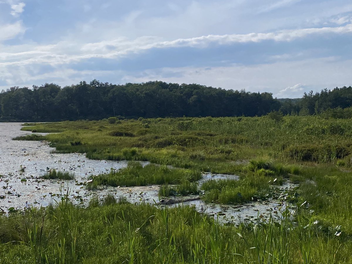 Conductor222's tweet image. Enjoyed my #minication #PA #dayoff #statepark #pennsylvania