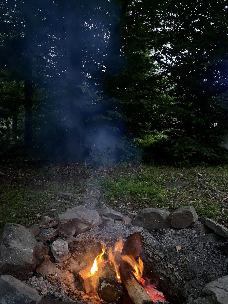 Conductor222's tweet image. Enjoyed my #minication #PA #dayoff #statepark #pennsylvania