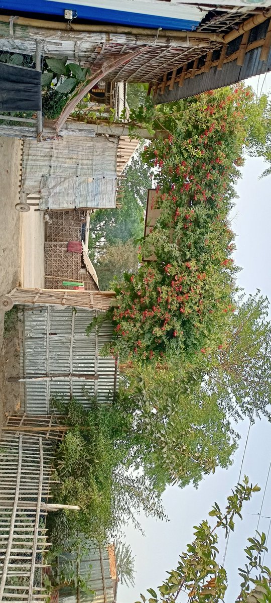 AshabSir's tweet photo. Hi friends https://t.co/Iq00rOXhuZ
