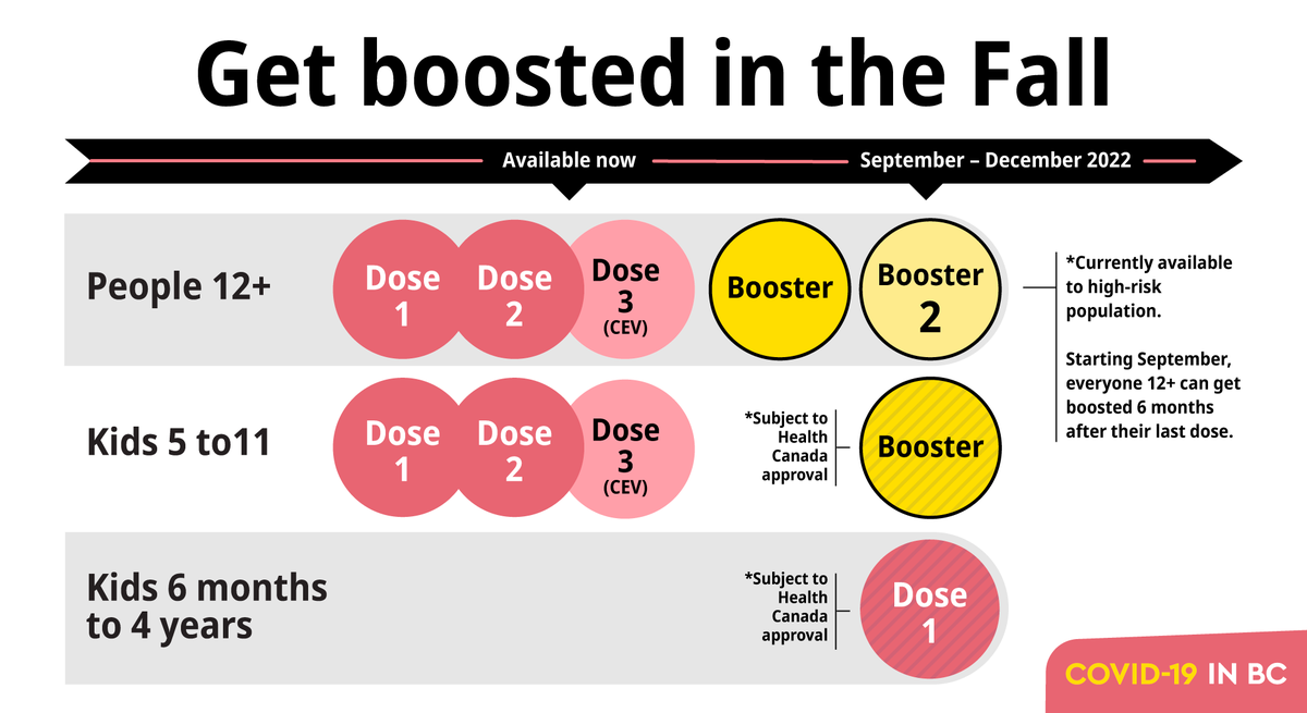 jjhorgan's tweet photo. Being vaccinated + boosted is the best way to lower the risk of severe illness from any COVID-19 variant.

Everyone 12+ will be invited for a 2nd booster this fall, helping to protect us all as we head into cold and flu season, when the risk of COVID-19 is likely highest. https://t.co/0lhhqLsfFJ