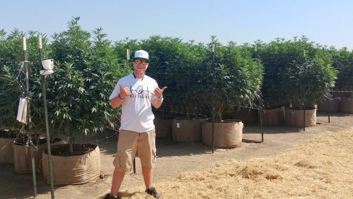 KeyToLifeSupply's tweet image. WHAT MAKES US DIFFERENT? 💚

At Key to Life Supply, we believe that our growers' success is our success.