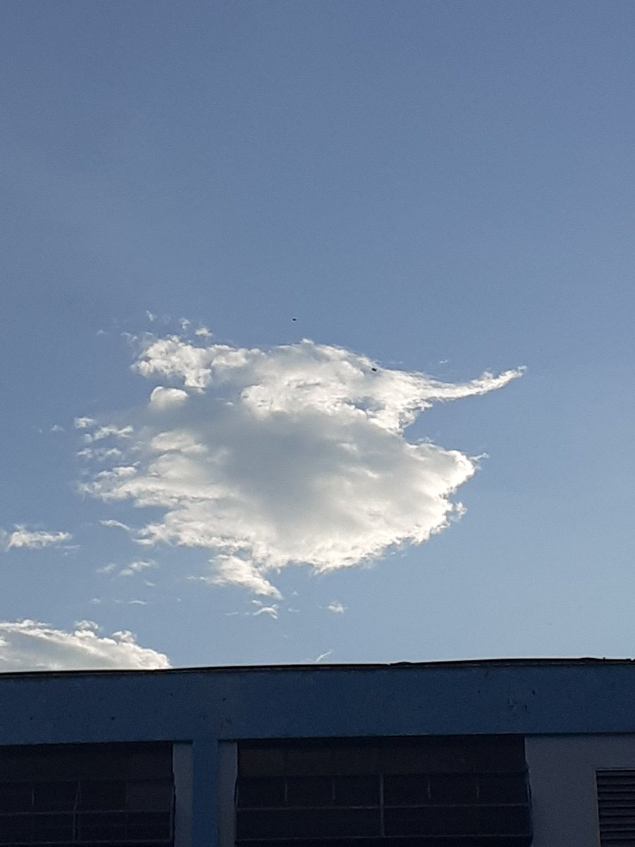 Si ves un gato arriba de una nube es que te gusto @_@)
