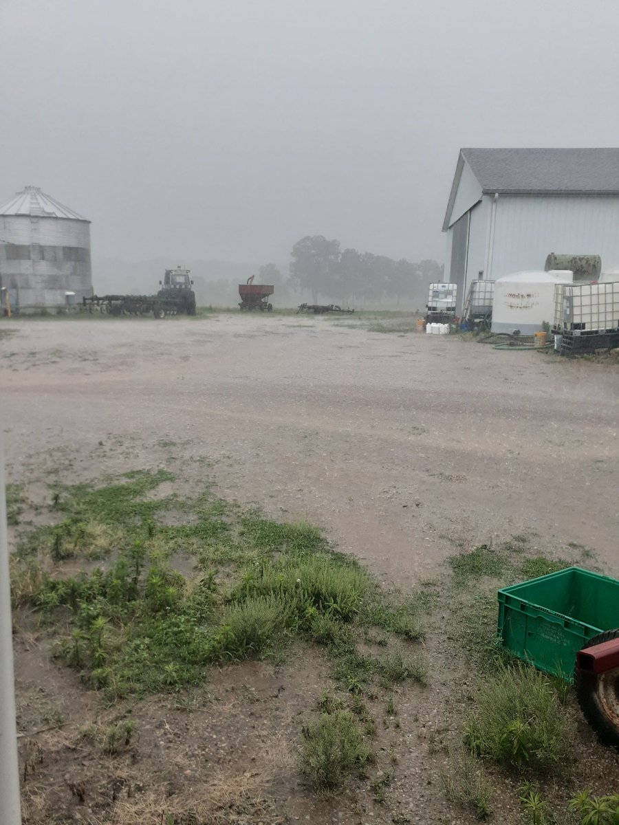 WPregitzer's tweet photo. Nothing beats a good rain, https://t.co/mEu25OK5TF