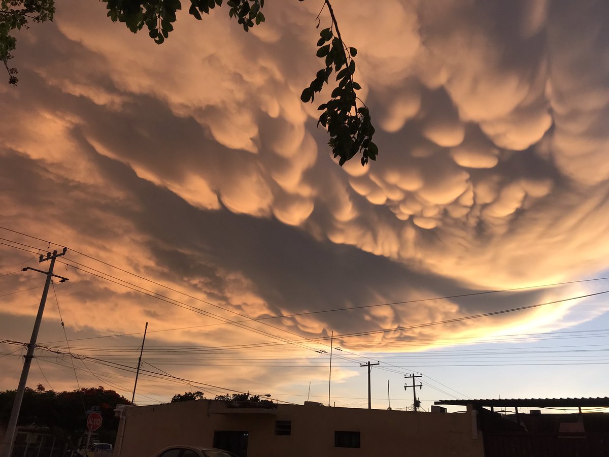 ToziMorozi's tweet photo. @ClimaYucatan el cielo de hoy en #Mérida ¿por que las nubes se ven así? https://t.co/TfDil9PRk5