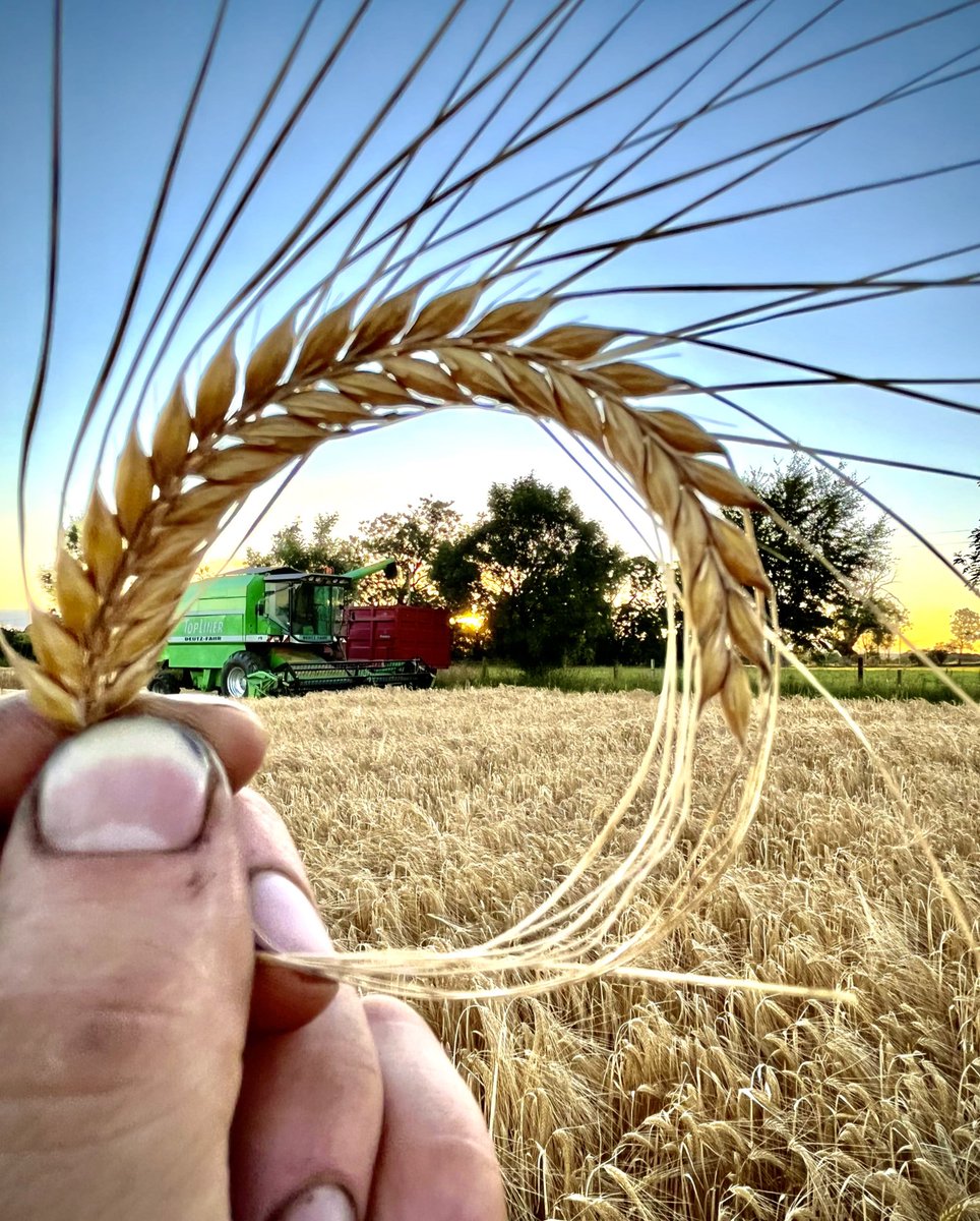 Tony O’ Flynn tweet media