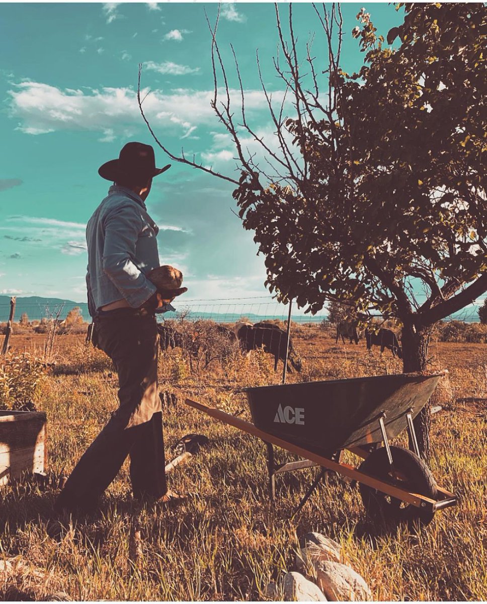 Joe Purdy tweet media