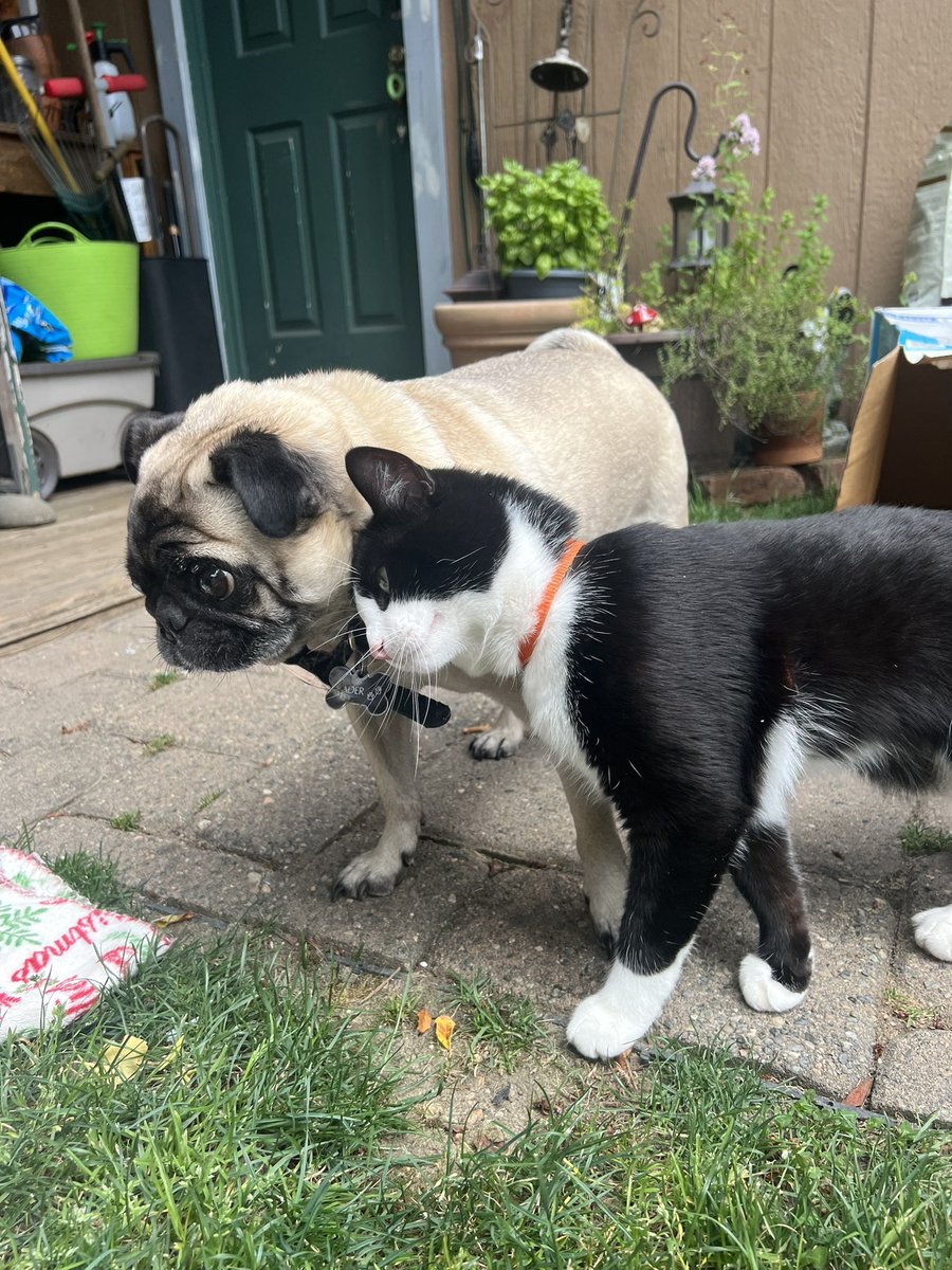 DeltaDefiance's tweet image. My boys are so stinkin cute